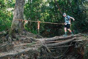 BIB: 
                            <button type="button" onclick="openModal(27752191)" class="btn btn-primary btn-sm float-right btn-popup" data-toggle="modal" data-target=".modal-high-quality">
                        <i class="fas fa-shopping-cart"></i> Add to Cart
                    </button>
                                            <button type="button" onclick="isThisMe(27752191, true)" class="btn btn-success btn-sm float-right btn-popup btn-isme hidden" data-toggle="tooltip" data-placement="bottom" title="นี่คือรูปของคุณใช่ไหม คลิกที่นี่เพื่อเอาเข้าอัลบั้ม">
                        <i class="fas fa-plus"></i> Add to album
                    </button>
                    <button type="button" onclick="isThisMe(27752191, false)" class="btn btn-warning btn-sm float-right btn-popup btn-isnotme hidden">
                        <i class="fas fa-ban"></i> Remove from album
                    </button>